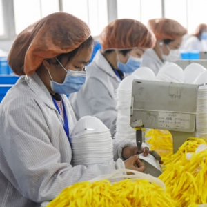 Read more about the article How the World Evolved During the Pandemic
